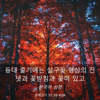 Picture 03 - 출애굽기 37:20 KOR - 등대 줄기에는 살구꽃 형상의 잔 - Bible Verse Picture