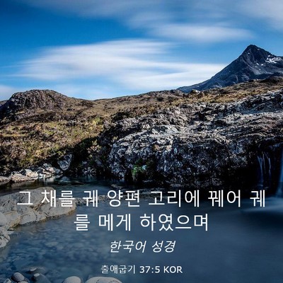 Picture 03 - 출애굽기 37:5 KOR - 그 채를 궤 양편 고리에 꿰어 궤를 - Bible Verse Picture