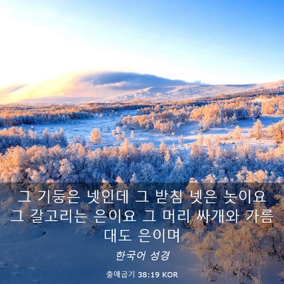 Picture 03 - 출애굽기 38:19 KOR - 그 기둥은 넷인데 그 받침 넷은 - Bible Verse Picture