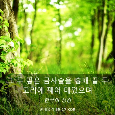 Picture 03 - 출애굽기 39:17 KOR - 그 두 땋은 금사슬을 흉패 끝 두 - Bible Verse Picture
