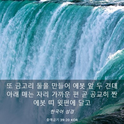 Picture 03 - 출애굽기 39:20 KOR - 또 금고리 둘을 만들어 에봇 앞 두 - Bible Verse Picture