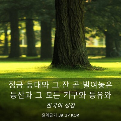 Picture 03 - 출애굽기 39:37 KOR - 정금 등대와 그 잔 곧 벌여놓은 - Bible Verse Picture