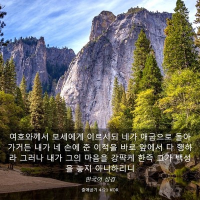 Picture 03 - 출애굽기 4:21 KOR - 여호와께서 모세에게 이르시되 네가 - Bible Verse Picture