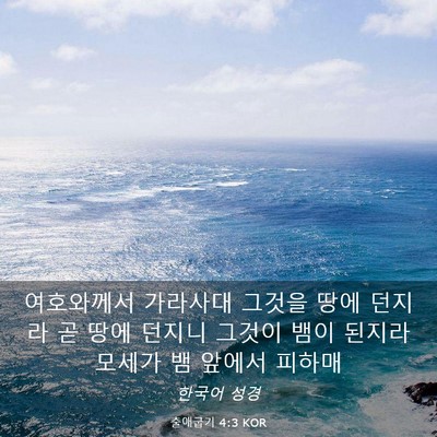 Picture 03 - 출애굽기 4:3 KOR - 여호와께서 가라사대 그것을 땅에 - Bible Verse Picture