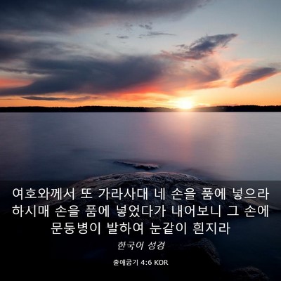Picture 03 - 출애굽기 4:6 KOR - 여호와께서 또 가라사대 네 손을 - Bible Verse Picture
