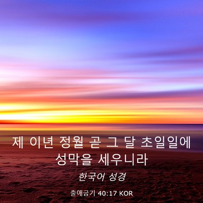 Picture 03 - 출애굽기 40:17 KOR - 제 이년 정월 곧 그 달 초일일에 - Bible Verse Picture
