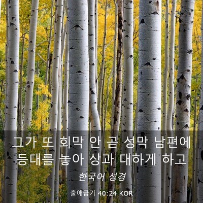 Picture 03 - 출애굽기 40:24 KOR - 그가 또 회막 안 곧 성막 남편에 - Bible Verse Picture