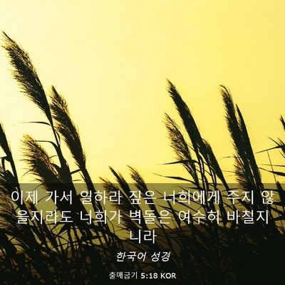 Picture 03 - 출애굽기 5:18 KOR - 이제 가서 일하라 짚은 너희에게 - Bible Verse Picture