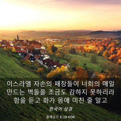 Picture 03 - 출애굽기 5:19 KOR - 이스라엘 자손의 패장들이 너희의 - Bible Verse Picture
