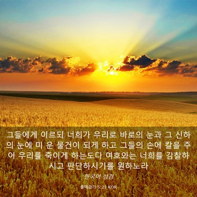 Picture 03 - 출애굽기 5:21 KOR - 그들에게 이르되 너희가 우리로 - Bible Verse Picture