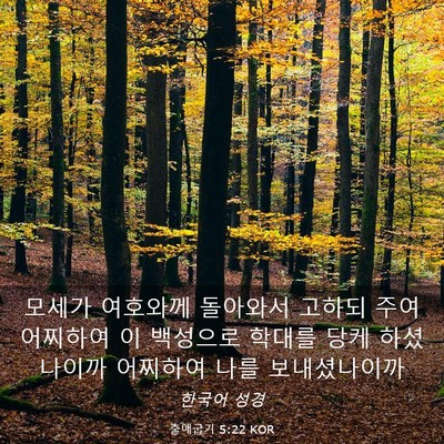 Picture 03 - 출애굽기 5:22 KOR - 모세가 여호와께 돌아와서 고하되 - Bible Verse Picture
