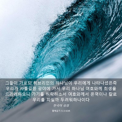 Picture 03 - 출애굽기 5:3 KOR - 그들이 가로되 히브리인의 하나님이 - Bible Verse Picture