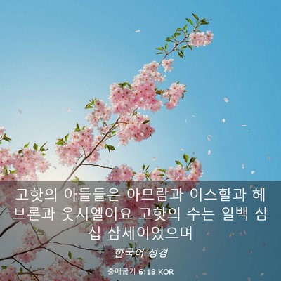 Picture 03 - 출애굽기 6:18 KOR - 고핫의 아들들은 아므람과 이스할과 - Bible Verse Picture
