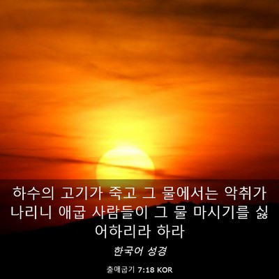Picture 03 - 출애굽기 7:18 KOR - 하수의 고기가 죽고 그 물에서는 - Bible Verse Picture
