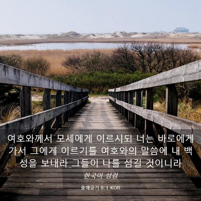 Picture 03 - 출애굽기 8:1 KOR - 여호와께서 모세에게 이르시되 너는 - Bible Verse Picture