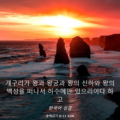 Picture 03 - 출애굽기 8:11 KOR - 개구리가 왕과 왕궁과 왕의 신하와 - Bible Verse Picture