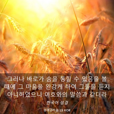 Picture 03 - 출애굽기 8:15 KOR - 그러나 바로가 숨을 통할 수 있음을 - Bible Verse Picture