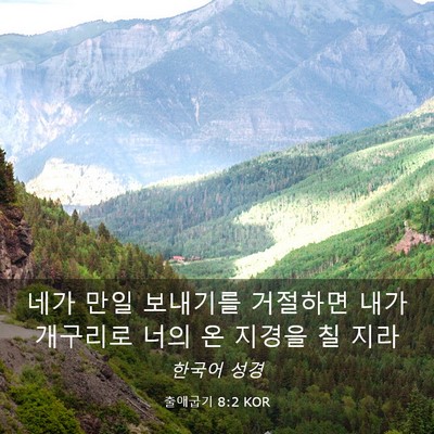 Picture 03 - 출애굽기 8:2 KOR - 네가 만일 보내기를 거절하면 내가 - Bible Verse Picture