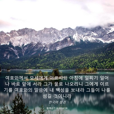Picture 03 - 출애굽기 8:20 KOR - 여호와께서 모세에게 이르시되 - Bible Verse Picture