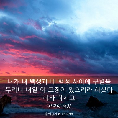 Picture 03 - 출애굽기 8:23 KOR - 내가 내 백성과 네 백성 사이에 - Bible Verse Picture