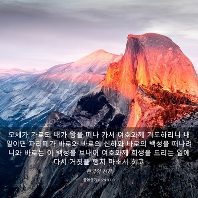 Picture 03 - 출애굽기 8:29 KOR - 모세가 가로되 내가 왕을 떠나 가서 - Bible Verse Picture