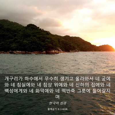 Picture 03 - 출애굽기 8:3 KOR - 개구리가 하수에서 무수히 생기고 - Bible Verse Picture