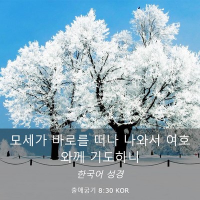 Picture 03 - 출애굽기 8:30 KOR - 모세가 바로를 떠나 나와서 여호와께 - Bible Verse Picture