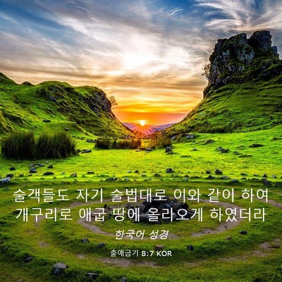Picture 03 - 출애굽기 8:7 KOR - 술객들도 자기 술법대로 이와 같이 - Bible Verse Picture
