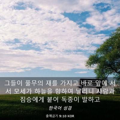 Picture 03 - 출애굽기 9:10 KOR - 그들이 풀무의 재를 가지고 바로 - Bible Verse Picture