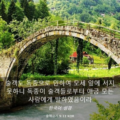Picture 03 - 출애굽기 9:11 KOR - 술객도 독종으로 인하여 모세 앞에 - Bible Verse Picture