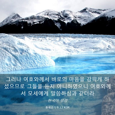 Picture 03 - 출애굽기 9:12 KOR - 그러나 여호와께서 바로의 마음을 - Bible Verse Picture