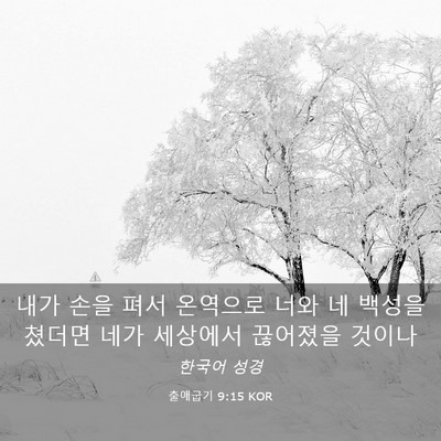 Picture 03 - 출애굽기 9:15 KOR - 내가 손을 펴서 온역으로 너와 네 - Bible Verse Picture