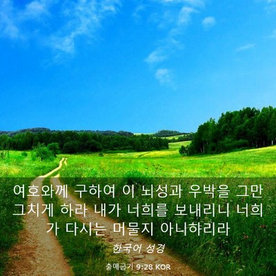 Picture 03 - 출애굽기 9:28 KOR - 여호와께 구하여 이 뇌성과 우박을 - Bible Verse Picture