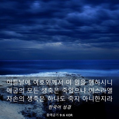 Picture 03 - 출애굽기 9:6 KOR - 이튿날에 여호와께서 이 일을 - Bible Verse Picture