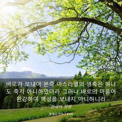 Picture 03 - 출애굽기 9:7 KOR - 바로가 보내어 본즉 이스라엘의 - Bible Verse Picture