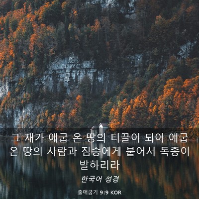 Picture 03 - 출애굽기 9:9 KOR - 그 재가 애굽 온 땅의 티끌이 되어 - Bible Verse Picture
