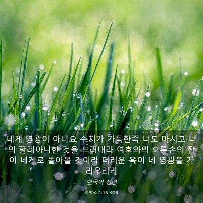 Picture 03 - 하박국 2:16 KOR - 네게 영광이 아니요 수치가 가득한즉 - Bible Verse Picture