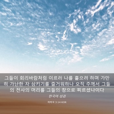 Picture 03 - 하박국 3:14 KOR - 그들이 회리바람처럼 이르러 나를 - Bible Verse Picture