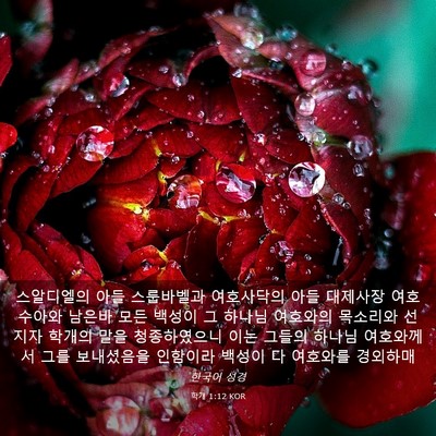 Picture 03 - 학개 1:12 KOR - 스알디엘의 아들 스룹바벨과 - Bible Verse Picture