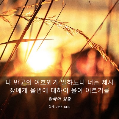 Picture 03 - 학개 2:11 KOR - 나 만군의 여호와가 말하노니 너는 - Bible Verse Picture