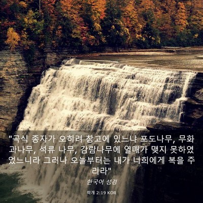Picture 03 - 학개 2:19 KOR - 