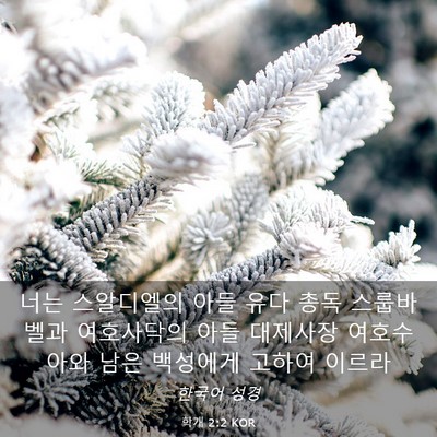 Picture 03 - 학개 2:2 KOR - 너는 스알디엘의 아들 유다 총독 - Bible Verse Picture