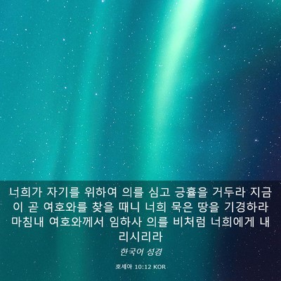 Picture 03 - 호세아 10:12 KOR - 너희가 자기를 위하여 의를 심고 - Bible Verse Picture