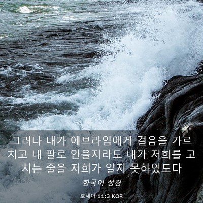 Picture 03 - 호세아 11:3 KOR - 그러나 내가 에브라임에게 걸음을 - Bible Verse Picture