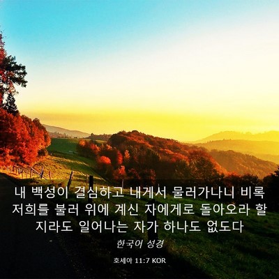 Picture 03 - 호세아 11:7 KOR - 내 백성이 결심하고 내게서 - Bible Verse Picture