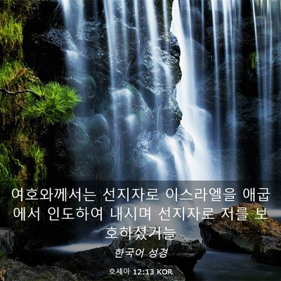Picture 03 - 호세아 12:13 KOR - 여호와께서는 선지자로 이스라엘을 - Bible Verse Picture