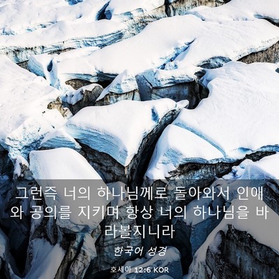 Picture 03 - 호세아 12:6 KOR - 그런즉 너의 하나님께로 돌아와서 - Bible Verse Picture