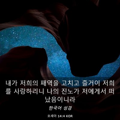 Picture 03 - 호세아 14:4 KOR - 내가 저희의 패역을 고치고 즐거이 - Bible Verse Picture