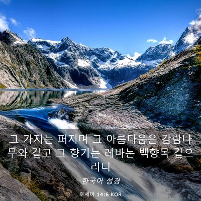 Picture 03 - 호세아 14:6 KOR - 그 가지는 퍼지며 그 아름다움은 - Bible Verse Picture