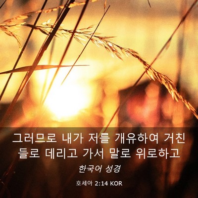 Picture 03 - 호세아 2:14 KOR - 그러므로 내가 저를 개유하여 거친 - Bible Verse Picture